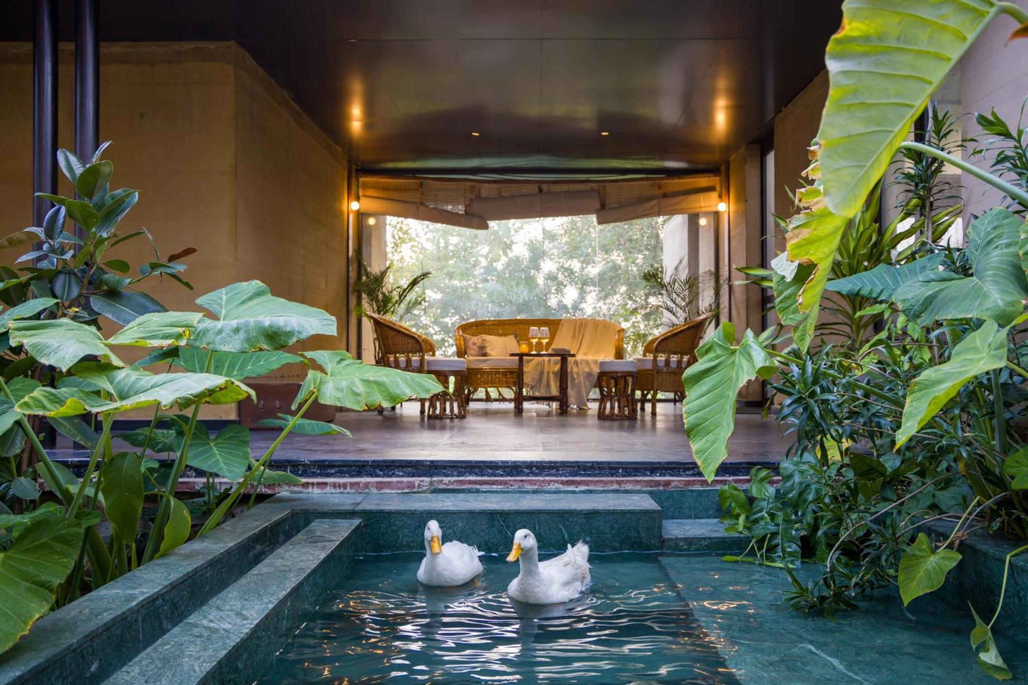 ג'איפור Elivaas Hari Bagh 4 Bhk Villa With Gaming Zone & Art Nook מראה חיצוני תמונה