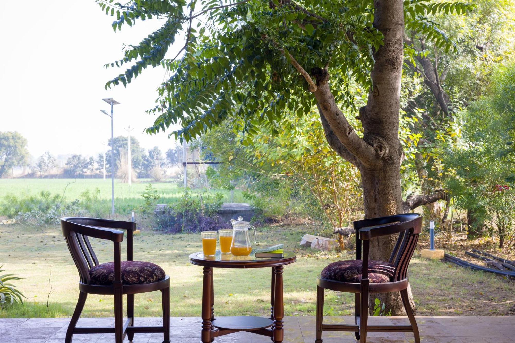 ג'איפור Elivaas Hari Bagh 4 Bhk Villa With Gaming Zone & Art Nook מראה חיצוני תמונה